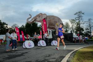 BIB: 
                            <button type="button" onclick="openModal(26529405)" class="btn btn-primary btn-sm float-right btn-popup" data-toggle="modal" data-target=".modal-high-quality">
                        <i class="fas fa-shopping-cart"></i> Add to Cart
                    </button>
                                            <button type="button" onclick="isThisMe(26529405, true)" class="btn btn-success btn-sm float-right btn-popup btn-isme hidden" data-toggle="tooltip" data-placement="bottom" title="นี่คือรูปของคุณใช่ไหม คลิกที่นี่เพื่อเอาเข้าอัลบั้ม">
                        <i class="fas fa-plus"></i> Add to album
                    </button>
                    <button type="button" onclick="isThisMe(26529405, false)" class="btn btn-warning btn-sm float-right btn-popup btn-isnotme hidden">
                        <i class="fas fa-ban"></i> Remove from album
                    </button>